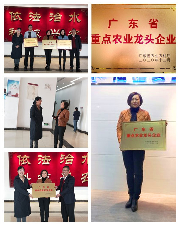 PA视讯(中国)集团官网 - PlayAce