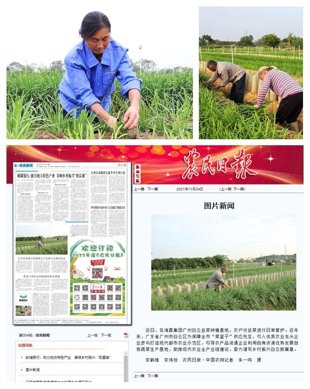 PA视讯(中国)集团官网 - PlayAce