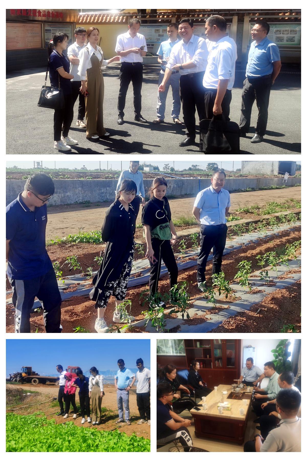 PA视讯(中国)集团官网 - PlayAce