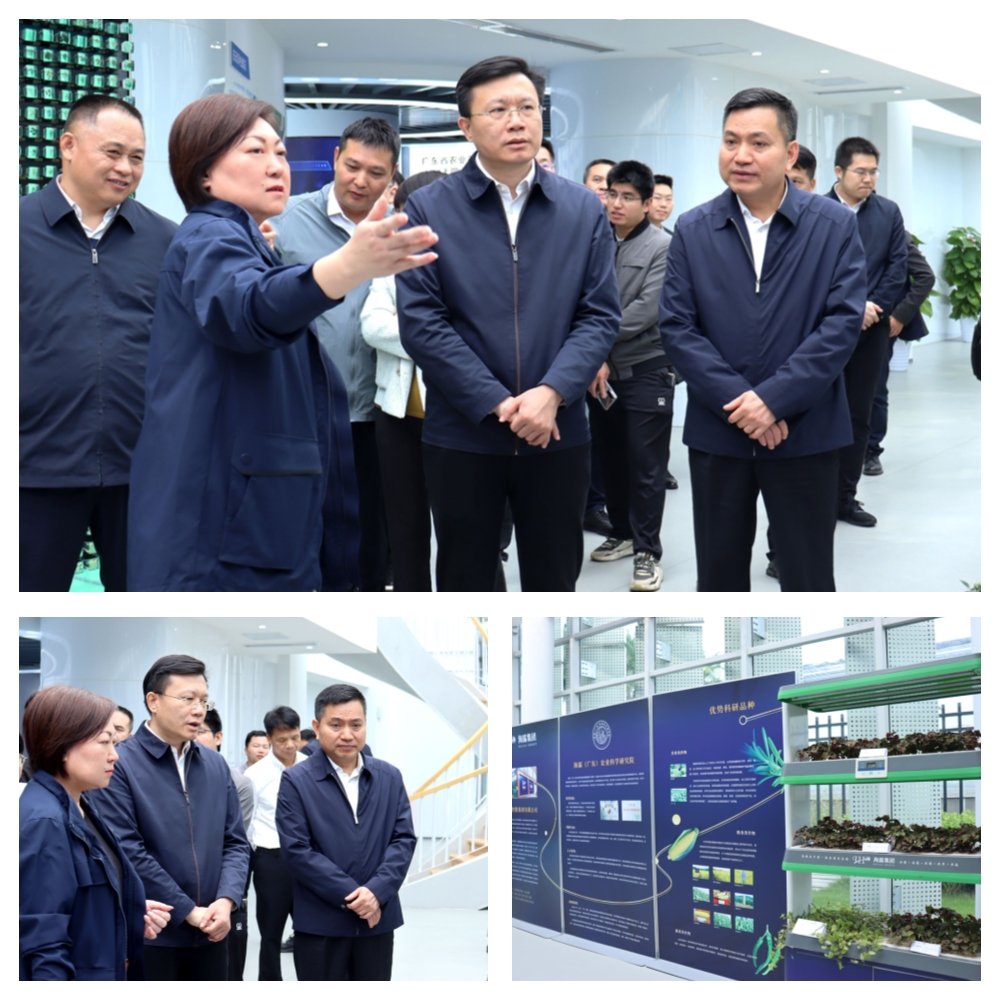 PA视讯(中国)集团官网 - PlayAce