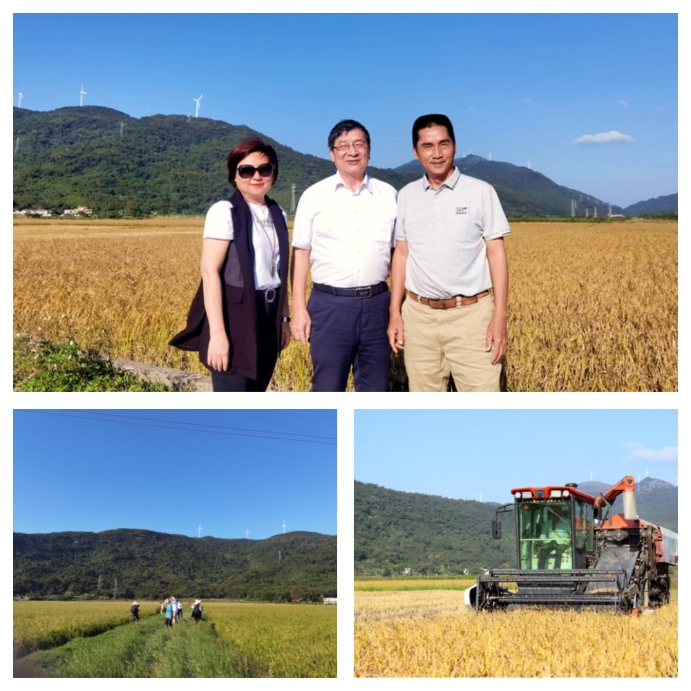 PA视讯(中国)集团官网 - PlayAce