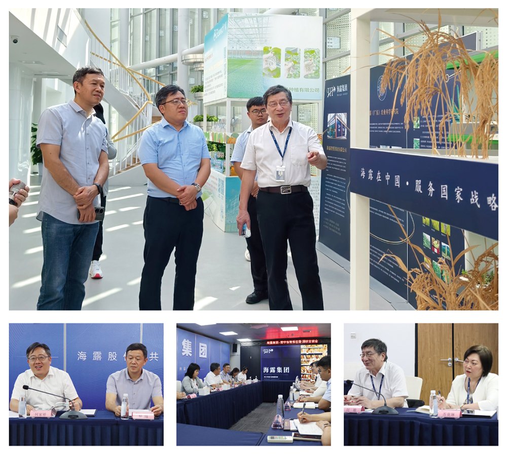 PA视讯(中国)集团官网 - PlayAce