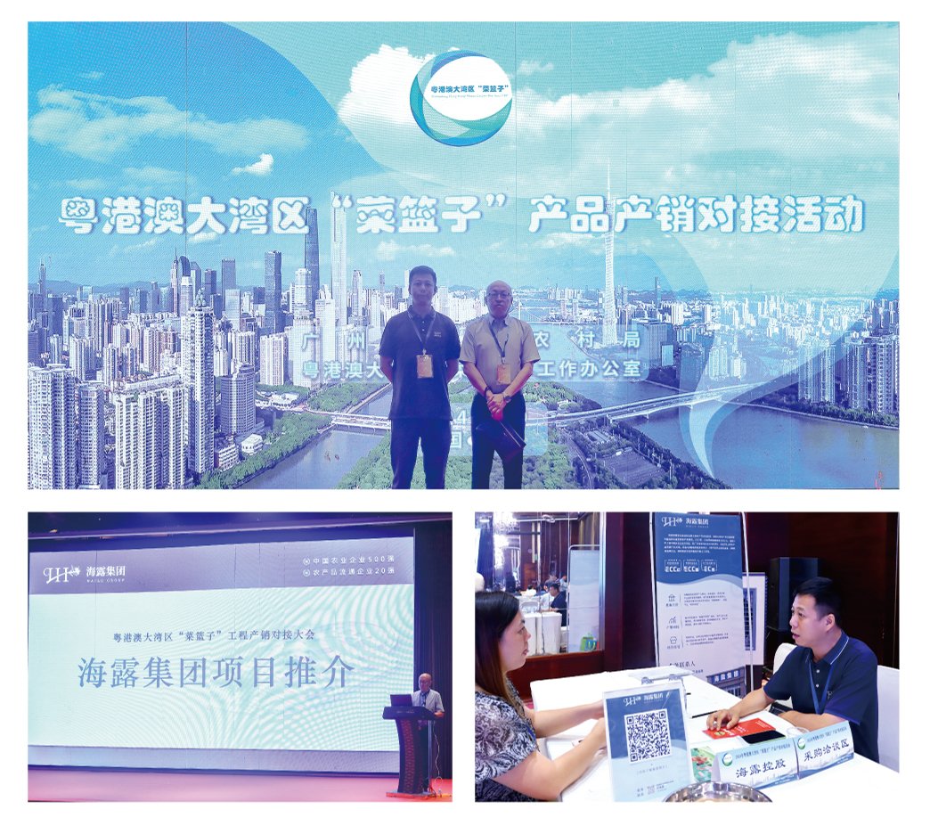 PA视讯(中国)集团官网 - PlayAce