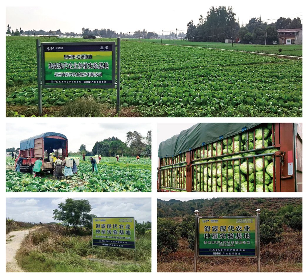 PA视讯(中国)集团官网 - PlayAce