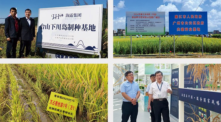 PA视讯(中国)集团官网 - PlayAce