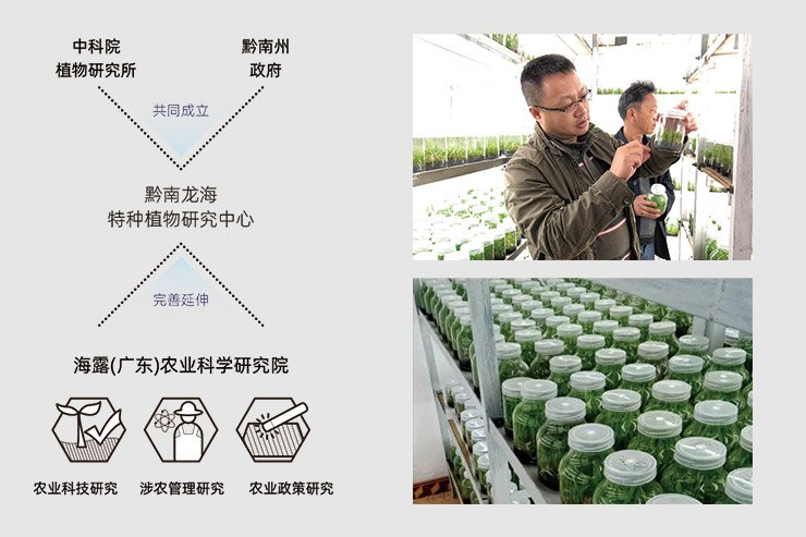 PA视讯(中国)集团官网 - PlayAce