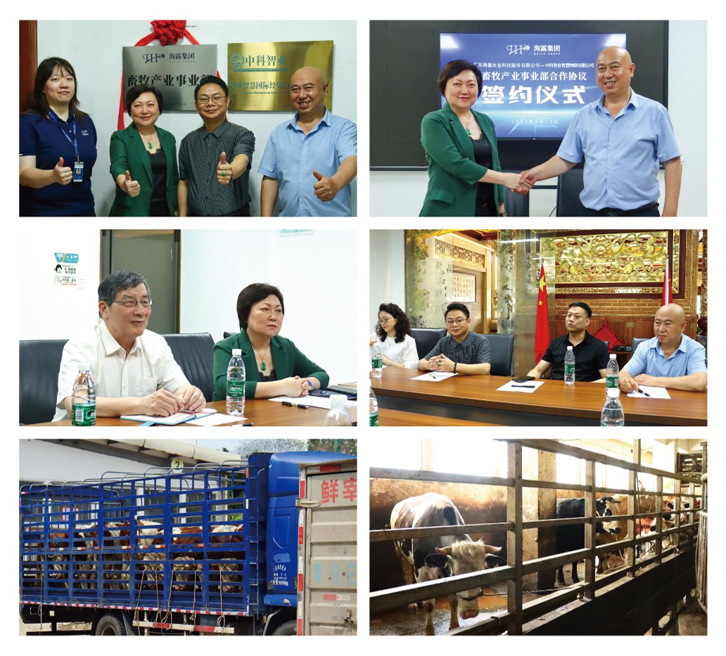 PA视讯(中国)集团官网 - PlayAce