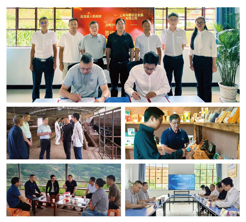 PA视讯(中国)集团官网 - PlayAce