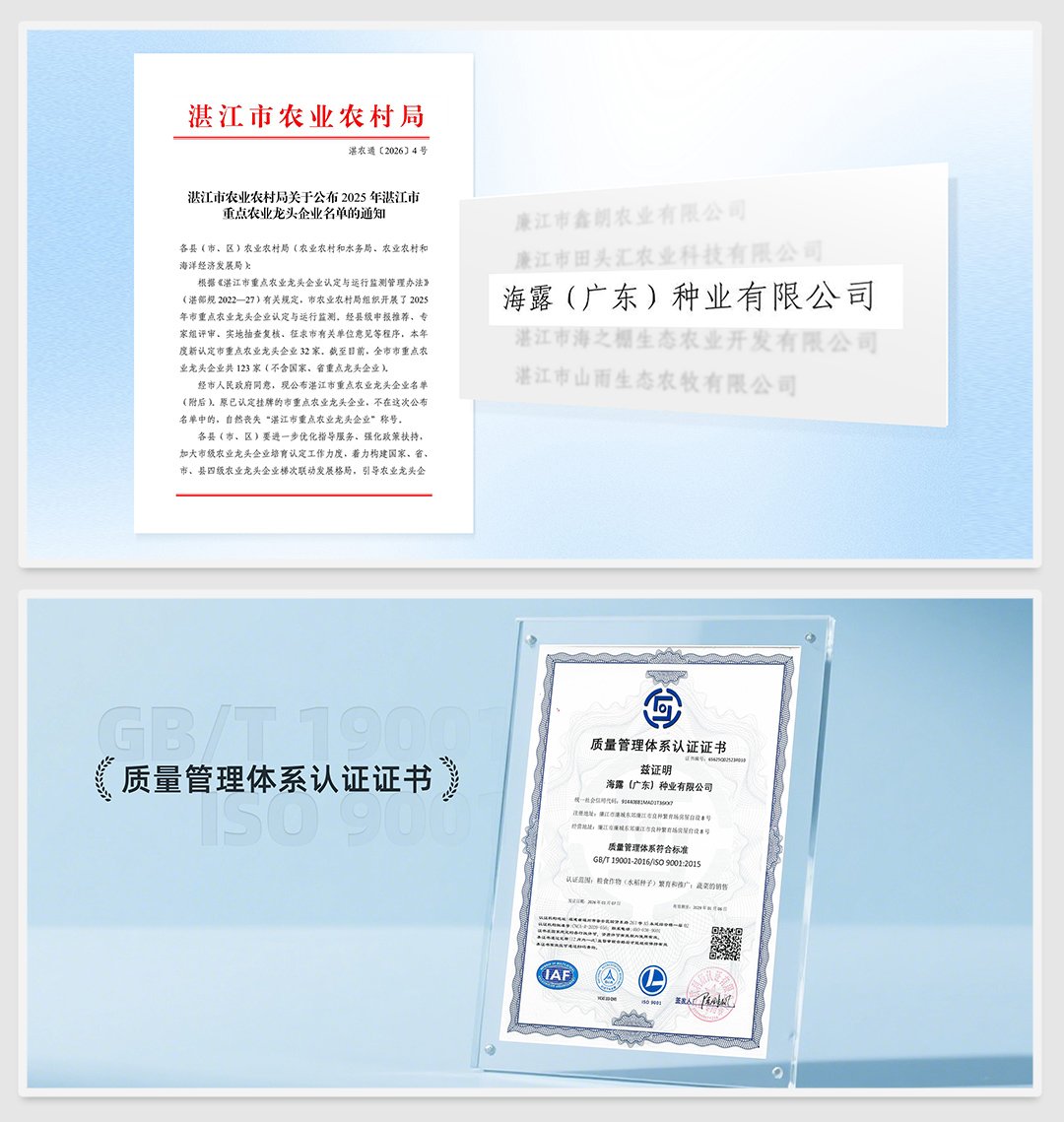 PA视讯(中国)集团官网 - PlayAce