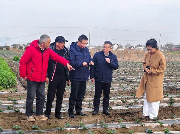 集团辅导携上海处事处赴长三角调查，深入合作拓展业务新格局